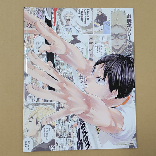Haikyu!! – Karasuno High Visual Fan Book