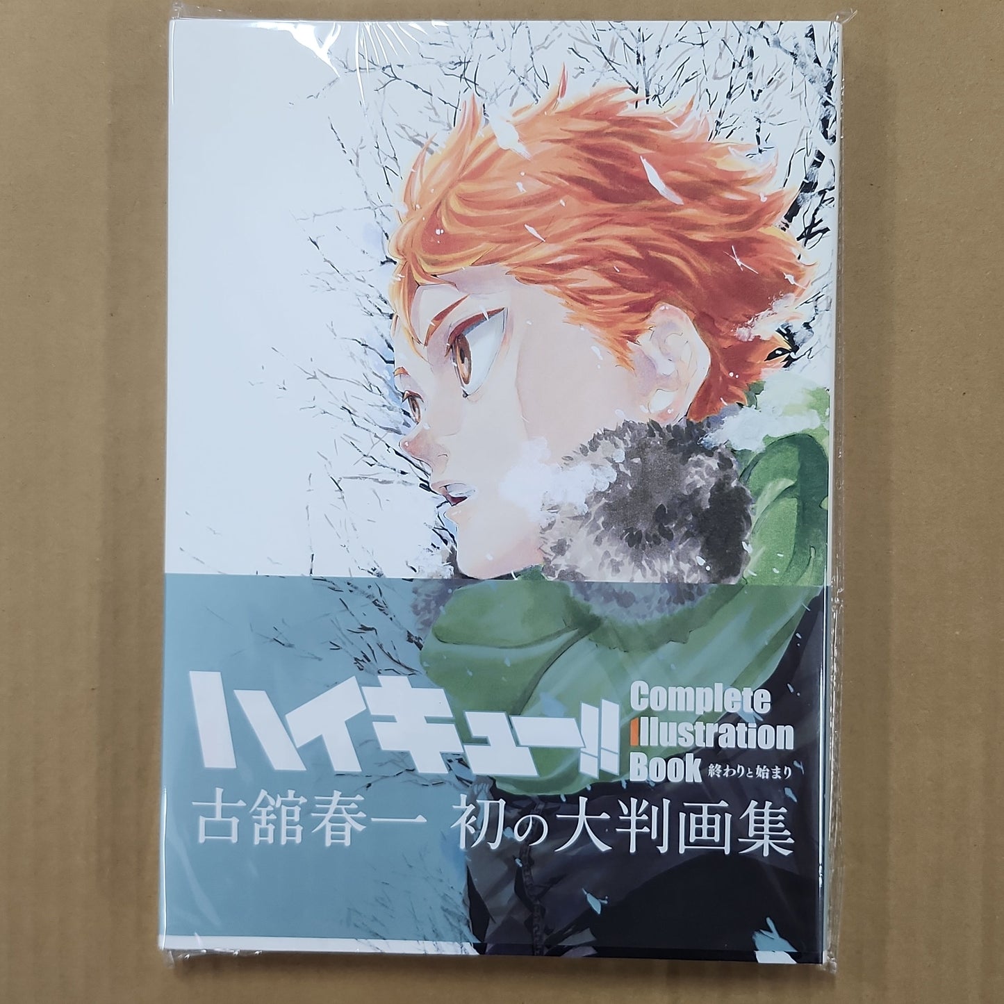 Haikyuu!! – Complete Illustration Art Book