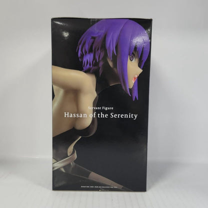 Hassan of the Serenity Fate/Grand Order: Camelot Servant Figure