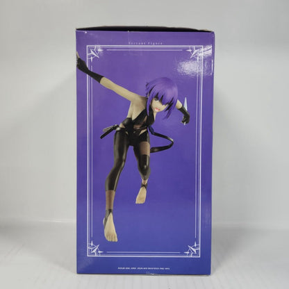 Hassan of the Serenity Fate/Grand Order: Camelot Servant Figure