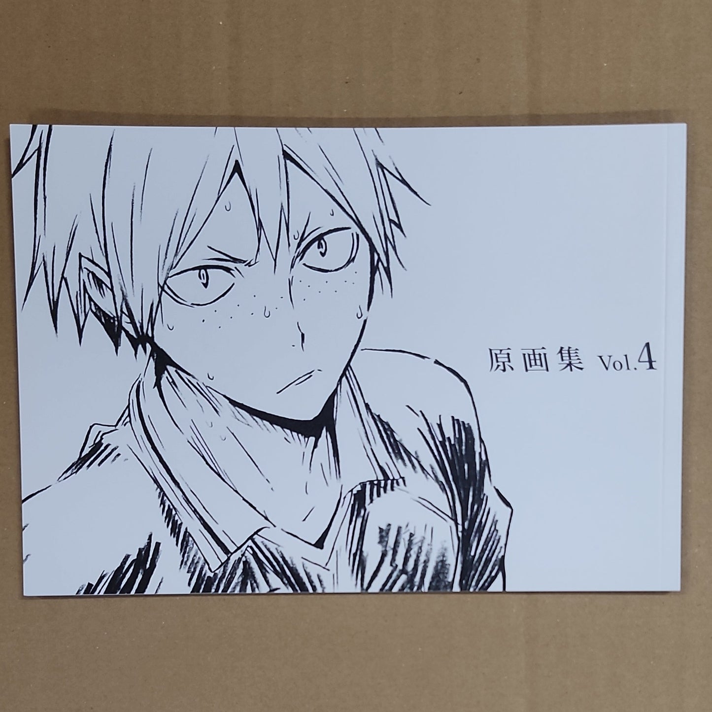 Haikyuu!! – Original Animation Artwork Collection Vol.4