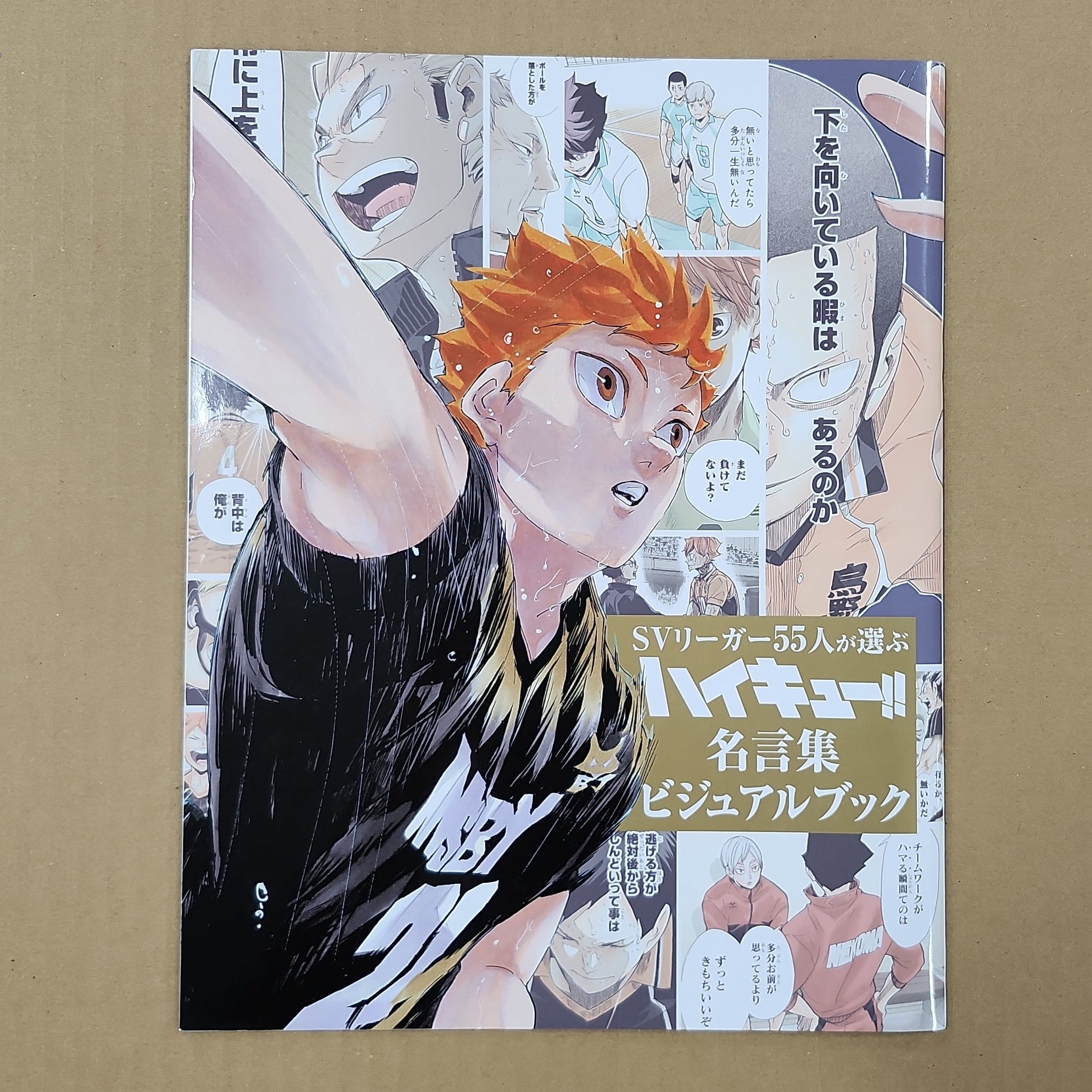 Haikyu!! – Karasuno High Visual Fan Book – Anime Zakka
