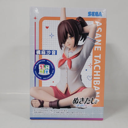 SEGA Nukumori-san Nakitashi – Asane Tachibana Figure