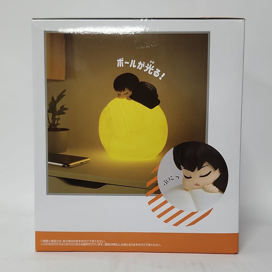 Haikyuu!! – Shoyo Hinata Relax Room Light