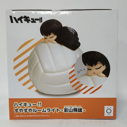Haikyuu!! – Shoyo Hinata Relax Room Light