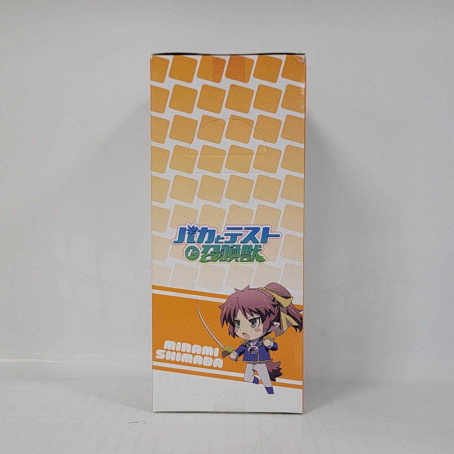 Limited - Baka to Test to Shokanju – Minami Shimada Figure