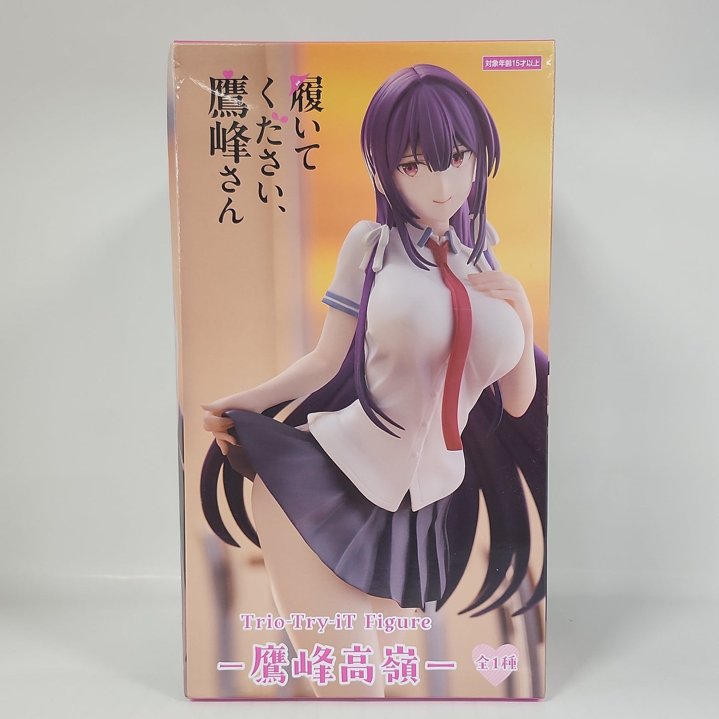 Please Put Them On, Takamine-san Takane Takamine Trio-Try-iT School Uniform Figure