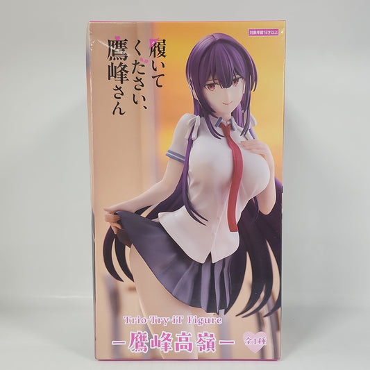 Please Put Them On, Takamine-san Takane Takamine Trio-Try-iT School Uniform Figure