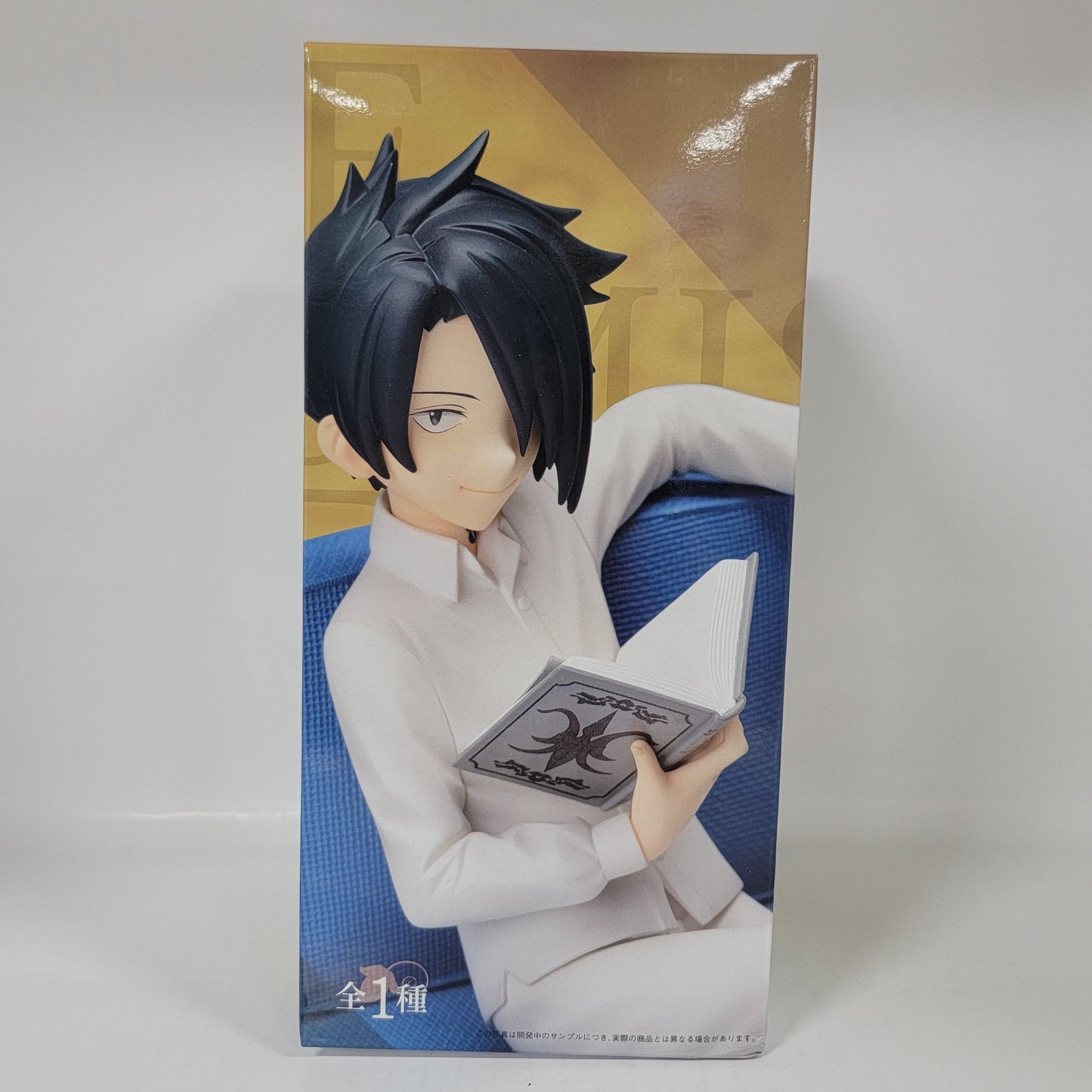 The Promised Neverland Ray Premium Figure