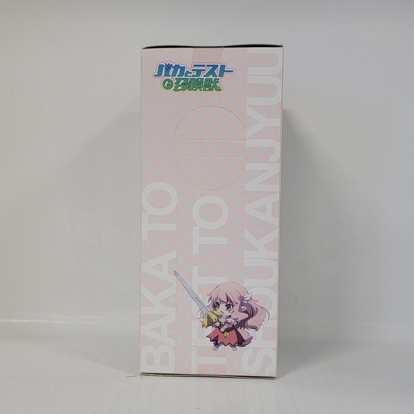 Limited - Baka to Test to Shokanju – Himeji Mizuki Poolside Figure