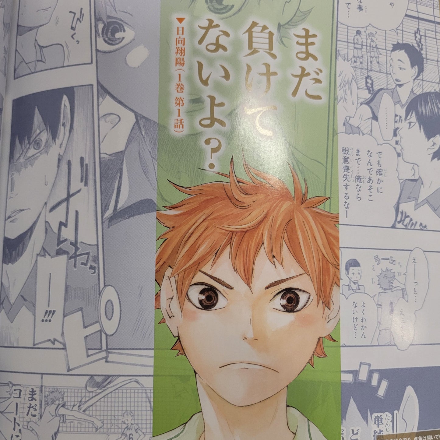 Haikyu!! – Karasuno High Visual Fan Book
