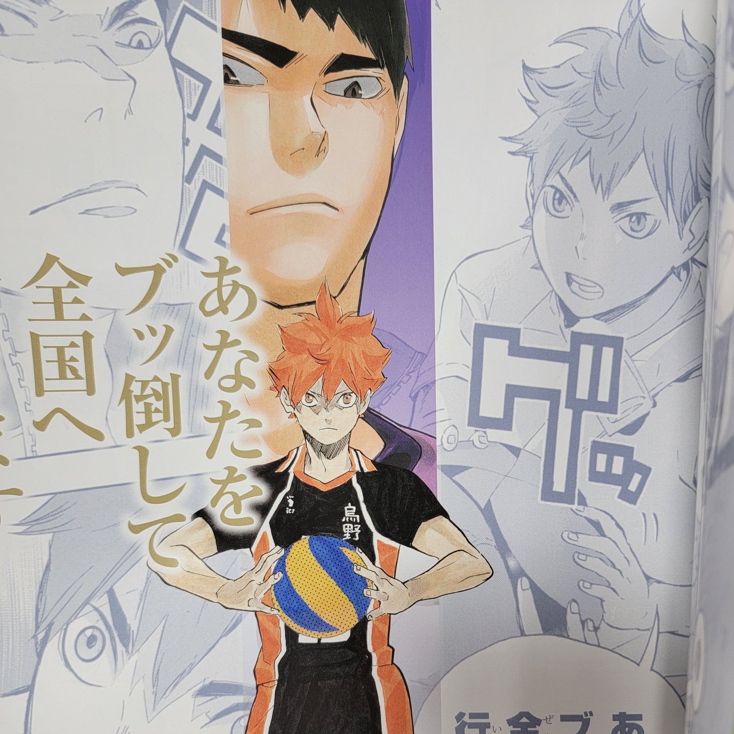 Haikyu!! – Karasuno High Visual Fan Book