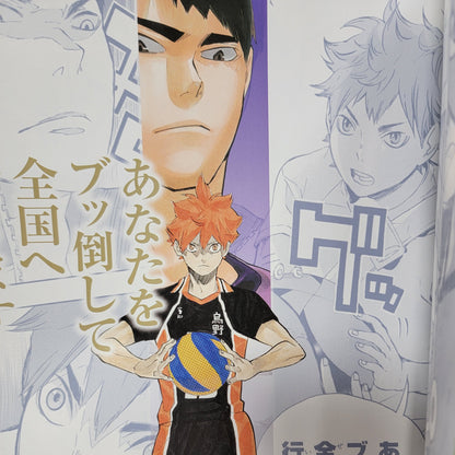 Haikyu!! – Karasuno High Visual Fan Book