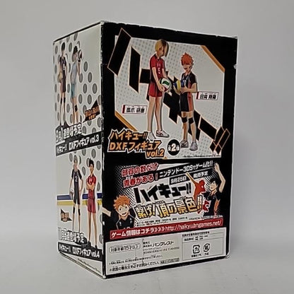 Haikyu!! – Shoyo Hinata DXF Figure Vol. 2
