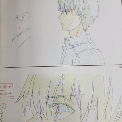 Fate/Stay Night – Heaven’s Feel Key Animations Art Book