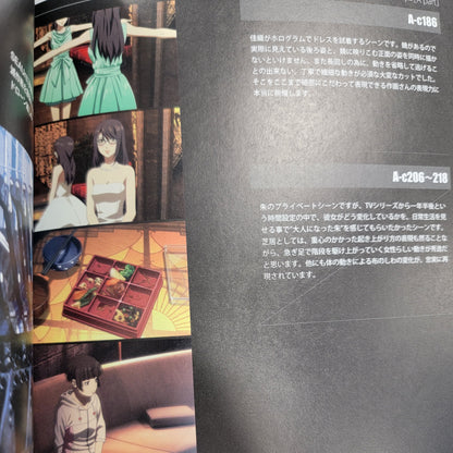 Psycho-Pass – Official Animation Art Book