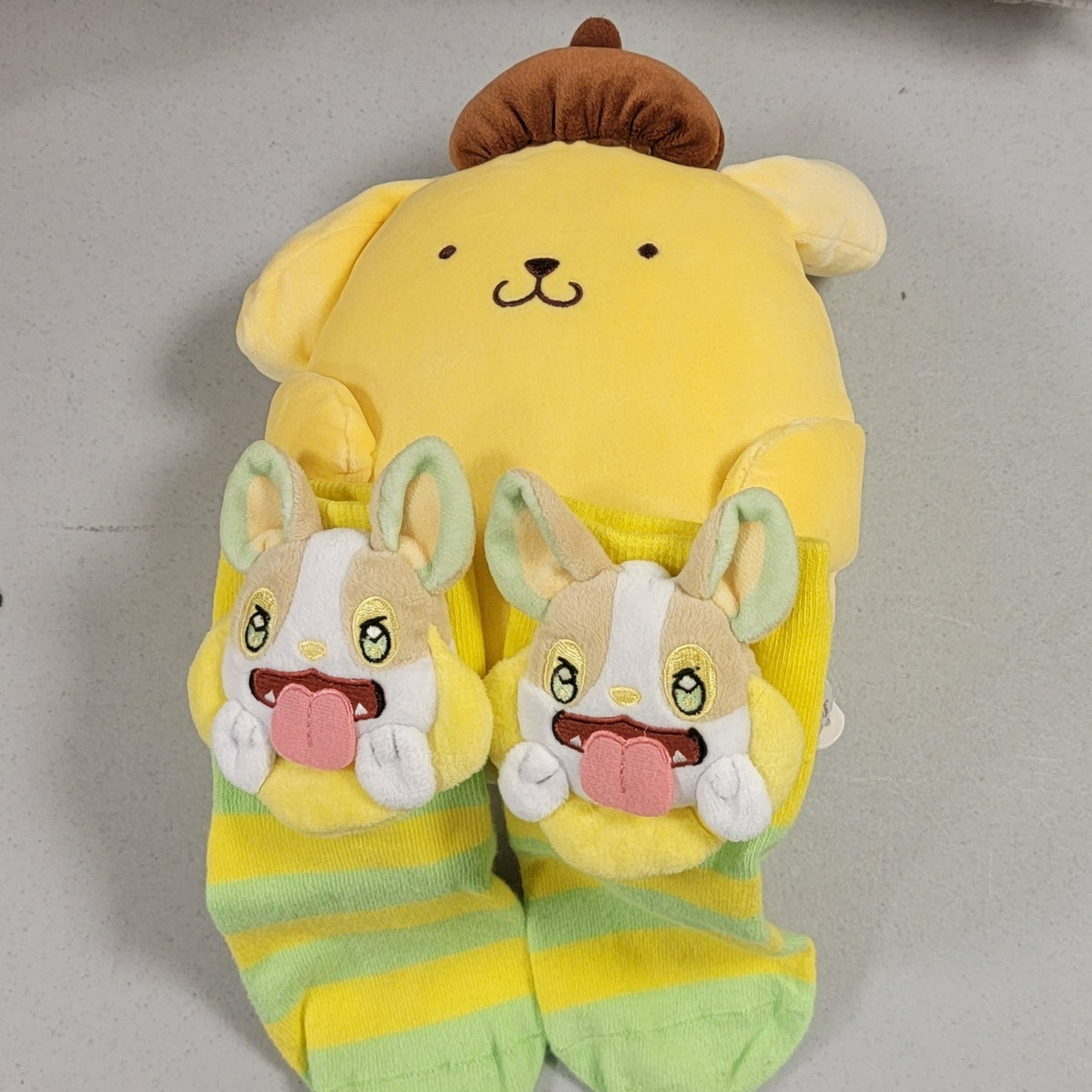 Sanrio characters Pompompurin with Pokémon Yamper Socks Bundle